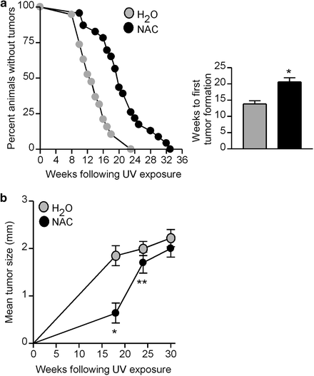 figure 00313