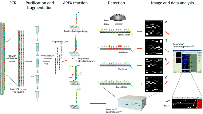 figure 00191