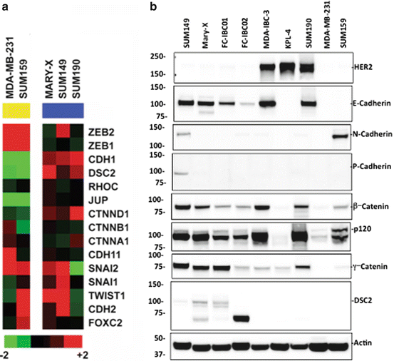 figure 00146