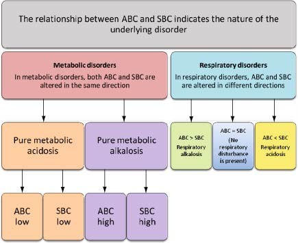 Metabolic Acidosis | SpringerLink