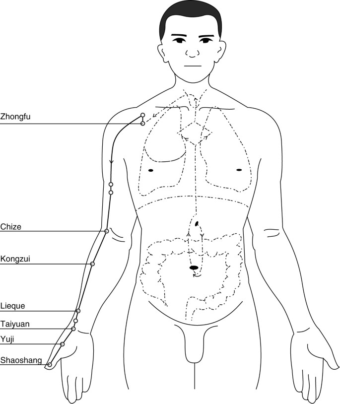 Descriptions Of Specific Acupoints Springerlink