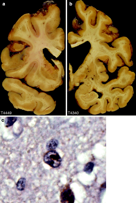 figure 1_8