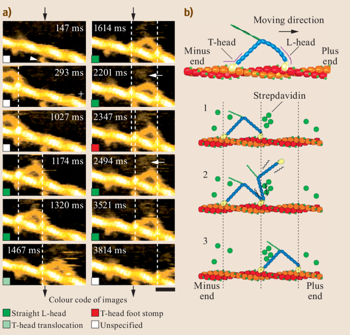 https://media.springernature.com/lw685/springer-static/image/chp%3A10.1007%2F978-3-030-00069-1_25/MediaObjects/978-3-030-00069-1_25_Fig25_HTML.png