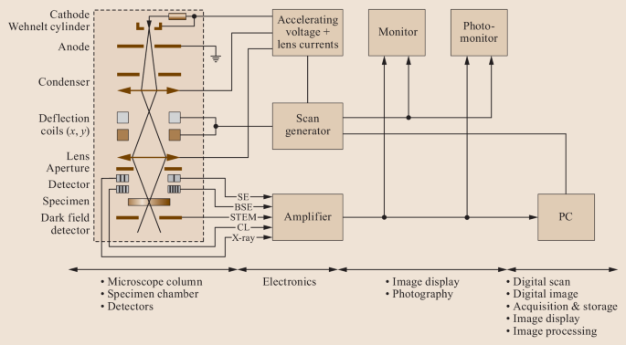 Scanning Electron Microscopy | SpringerLink