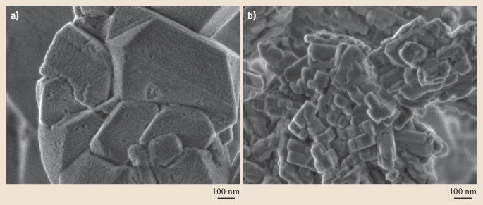 Scanning Electron Microscopy