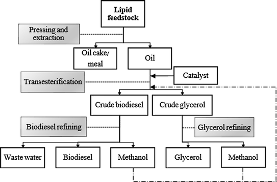 Applications of Biodiesel By-products