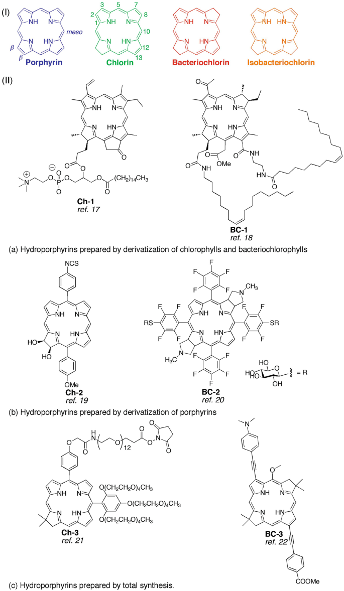 Is NH Hoteles A Spanish Brand ?. Their Majesties King Philip and Queen… |  by Nahema | Medium, image size:685x1178
