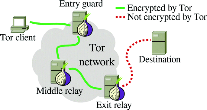 The Onion Router: Is the Onion Network Suitable for Cloud Technologies |  SpringerLink