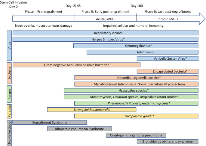 Pulmonary Syndromes in Transplantation | SpringerLink pulmonary-syndromes-in-transplantation-springerlink