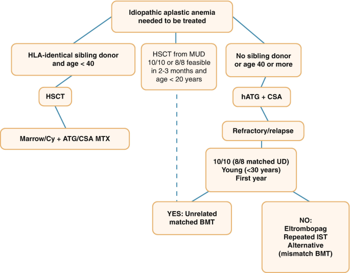 Aplastic Anemia and PNH | SpringerLink