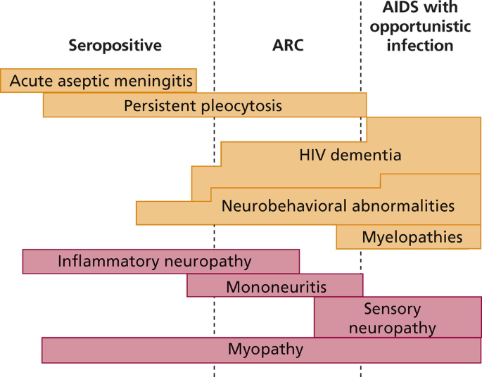 figure 30