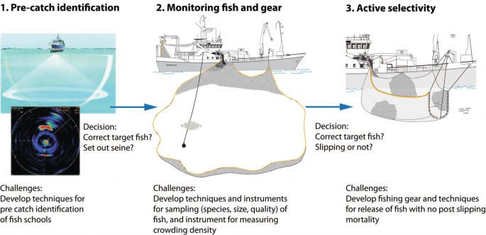 Mitigating Slipping-Related Mortality from Purse Seine Fisheries for Small  Pelagic Fish: Case Studies from European Atlantic Waters