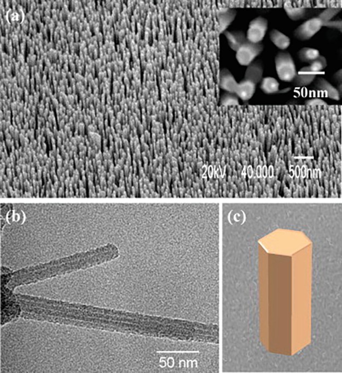 figure 229