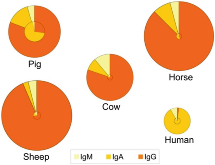 Effects of colostrum management on transfer of passive immunity