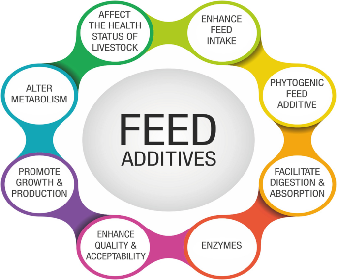 Feed Additives in Animal Health | SpringerLink