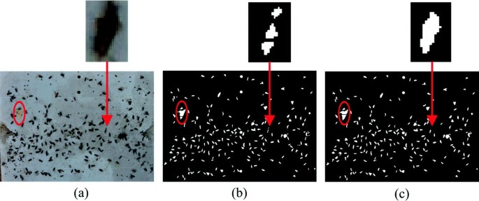 figure 11