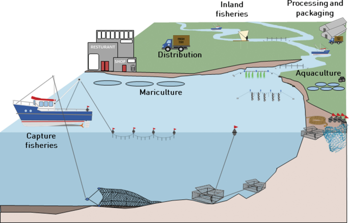 Microplastic Impacts in Fisheries and Aquaculture | SpringerLink