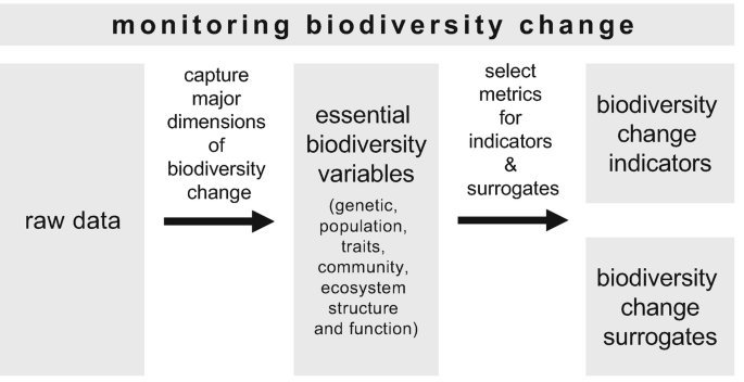 A flow diagram presents the monitoring biodiversity change process which has three phases, raw data, essential biodiversity variables, biodiversity change indicators, and biodiversity change surrogates.