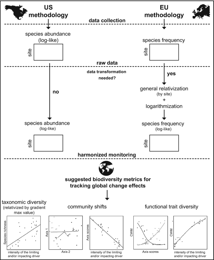 A framework depicts U S and E U methodologies and undergoes four phases, data collection, raw data, harmonized monitoring, and suggested biodiversity metrics for tracking global change effects.