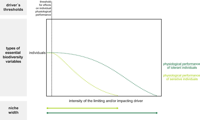 A graph plots the declining trends of the physiological performance of tolerant and sensitive individuals against the intensity of the limiting or impacting driver.