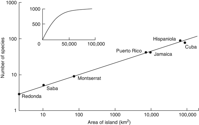 A graph plot between the area of the island and the number of species. The maximum area of the island is occupied by Cuba and the minimum area is occupied by Redonda.