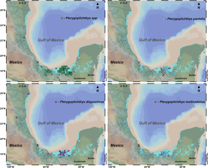 PDF) Mapping the spatial distribution of the invasive Mexican