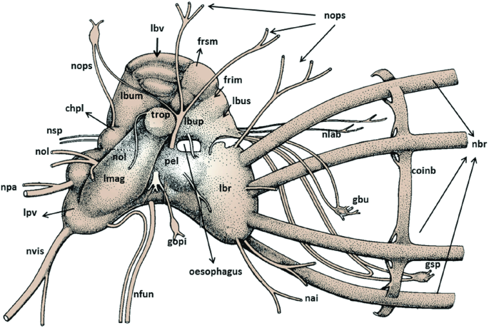 figure 20