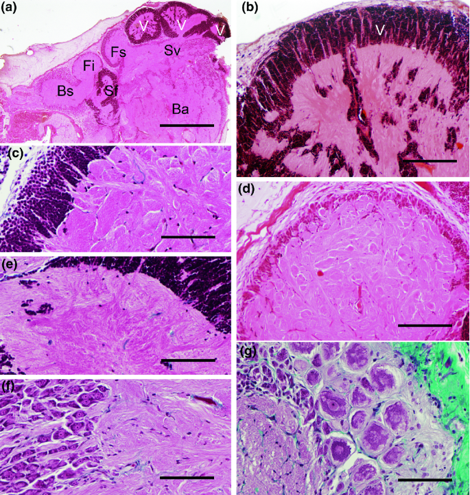 figure 23