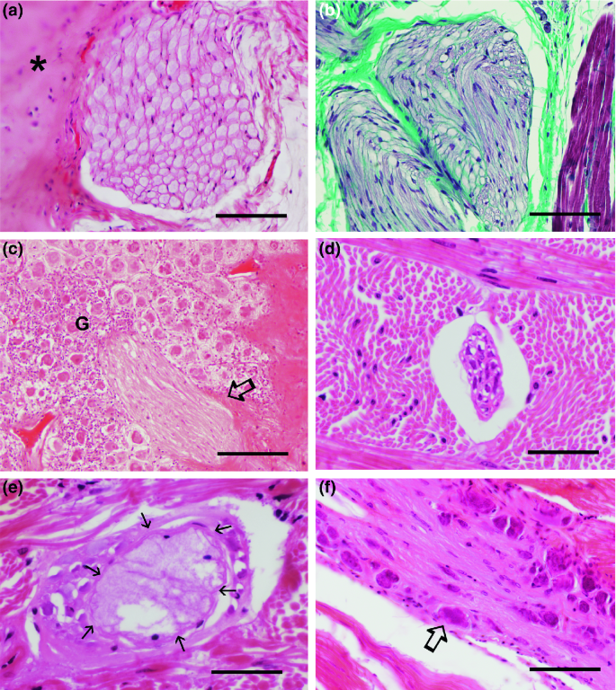 figure 26