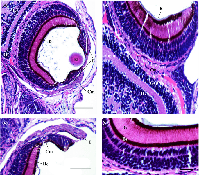 figure 16