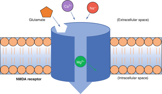 Ketamine and NMDA-Receptor Antagonists | SpringerLink