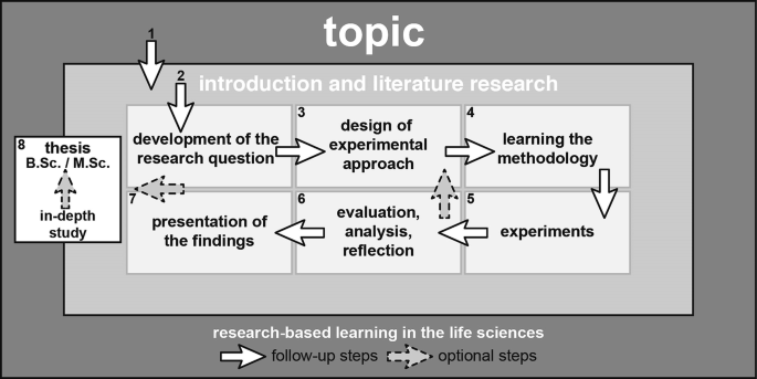 A sequence from literature research to development of research qustion, design, learning the methodology, experiments, evaluation, analysis, reflection, presentation of findings, in-depth study and thesis.