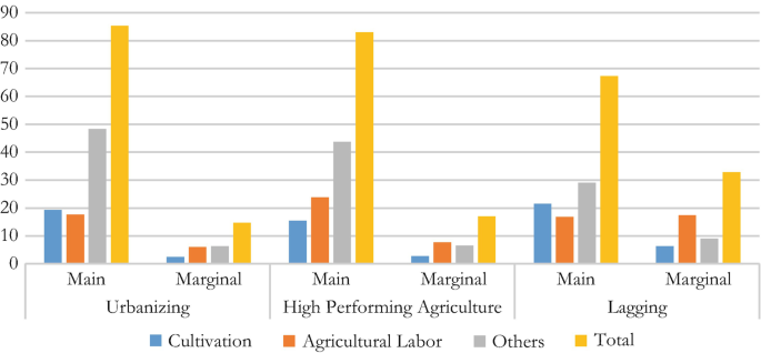 A bar graph depicts the nature of work: main and marginal workers in percentage divided in urbanizing, high performing agriculture and lagging agriculture, agriculture labor, others, and total values are high in all nature of work.