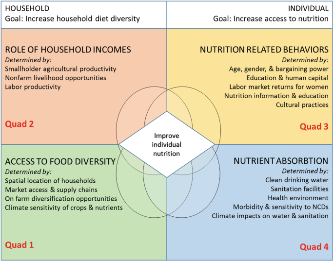 A data model divides pathways to better nutrition as a family and as an individual into four quadrants: 1: Access to a diverse range of foods, 2: The importance of household incomes 4: Nutrient Absorption, 3: Nutritional Behaviors