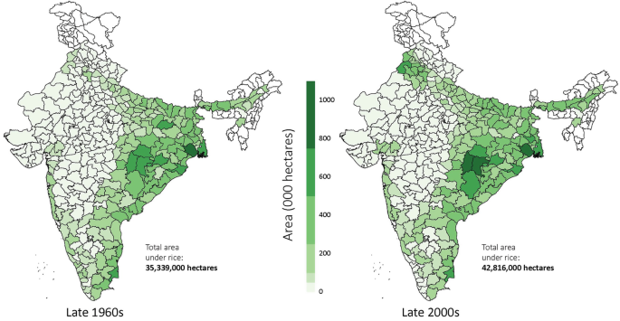Two maps of India show the variation in the rice production area, with the late 1960s indicating 35,339,000 hectares and the late 2000s representing 42,816,000 hectares.
