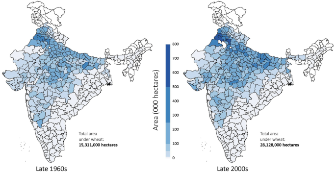 Two maps of India depicts change in area under wheat production in late 1960's the total area under wheat production was 15,311,000 hectares and in late 2000's the total area under wheat production was 28,128,000 hectares.