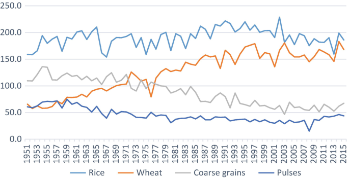A line graph indicates per capita availability of rice, wheat, course grains and pulses in India from year 1951 to 2015.