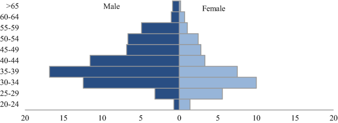 A bidirectional bar chart of male and female Portuguese nationals in Angola depicts that two thirds of the men are over the age of 35 and that the majority of women are in the age range of 30 to 34.