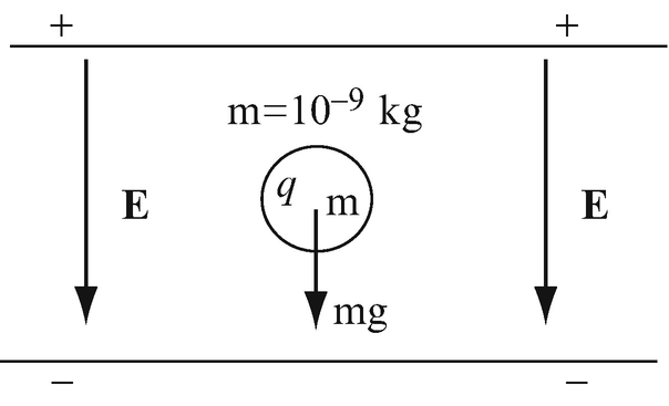 figure 38
