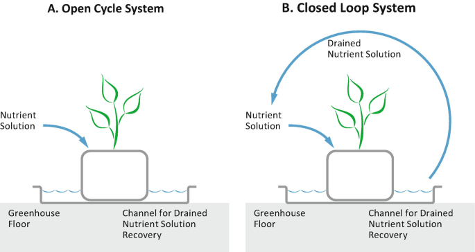 pH DOWN - 25% or 85% Concentration, Water Treatment & Hydroponics, DIY  Chemicals