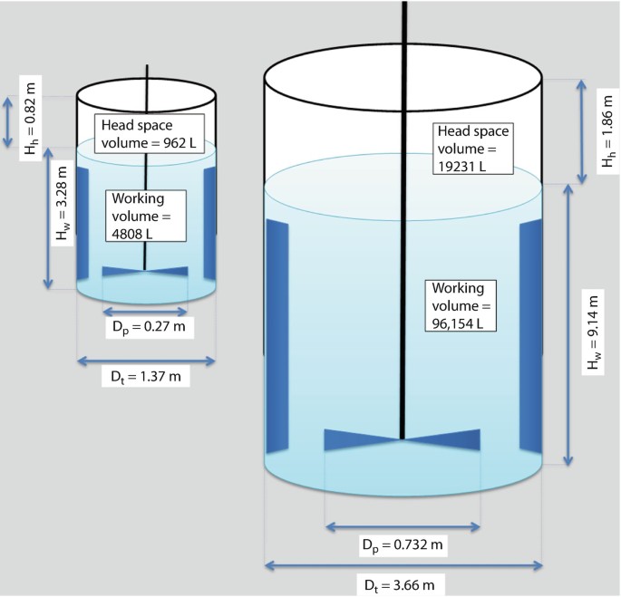 Bioreactor Scale-Up | SpringerLink