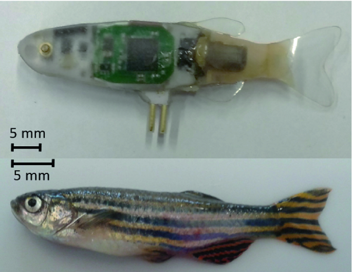 RiBot, the Actuated Robotic Fish Lure