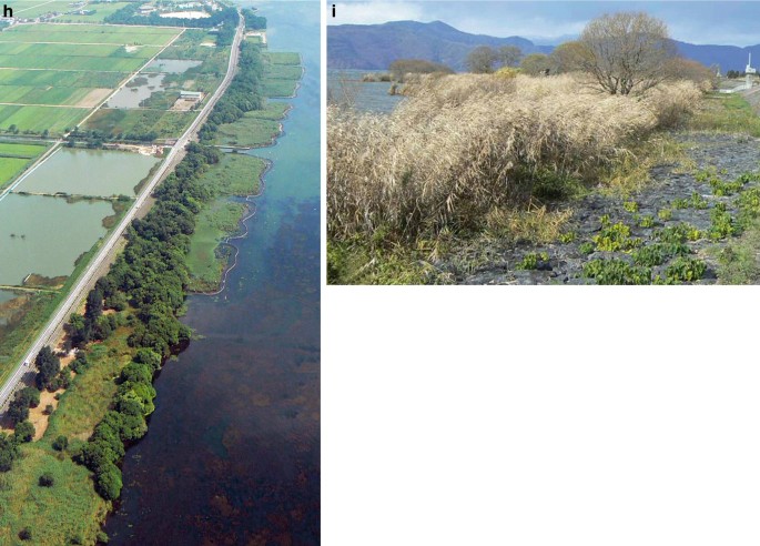 Ecological Changes in the Lake Biwa Environment