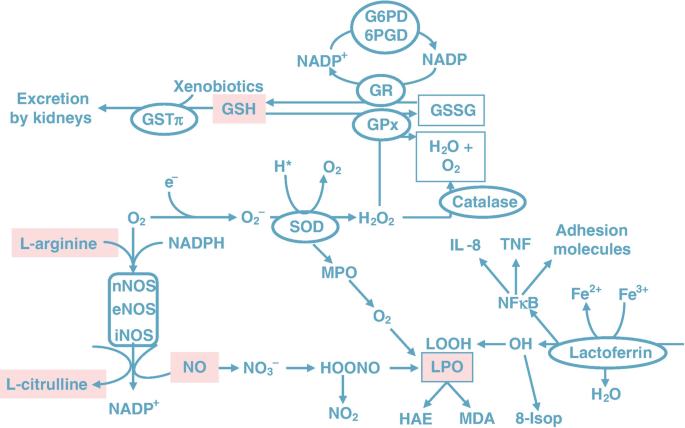Oxidative Stress Reduction (Prong-3) | SpringerLink