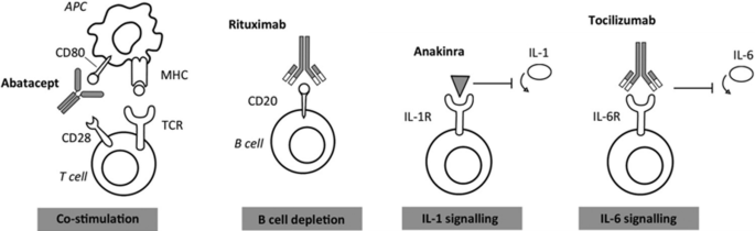 figure 22