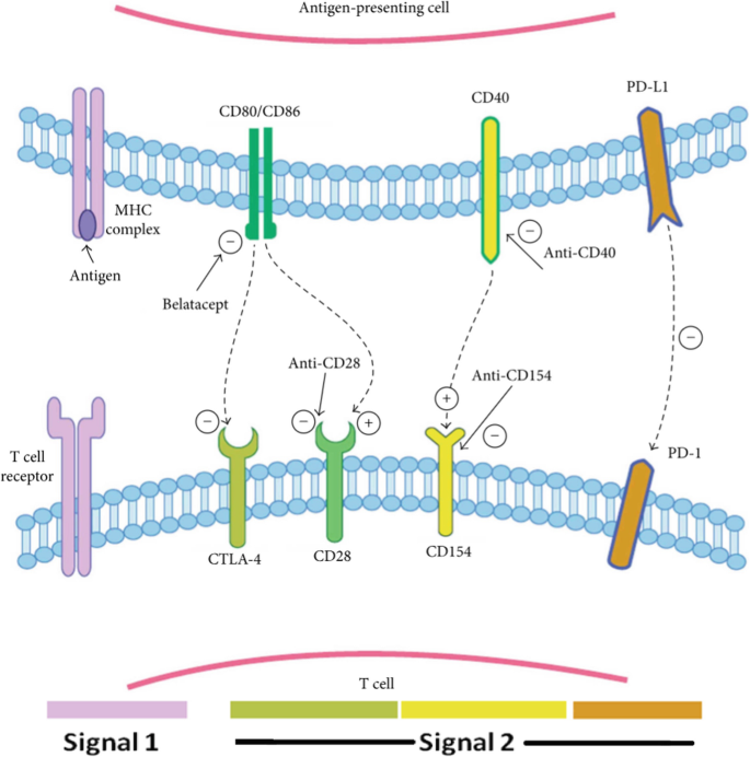 figure 24