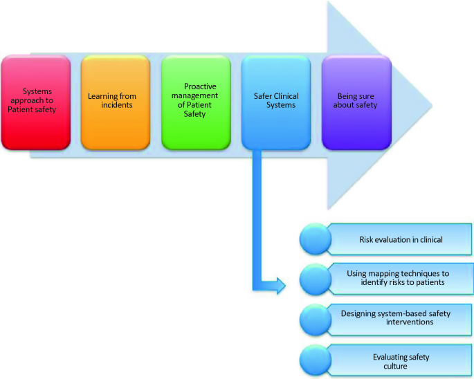 PDF) Lessons learnt from the development of the Patient Safety