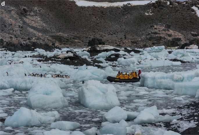 Antarctic Tour Operators' Fuel Consumption to be Analysed as They Embark on  Climate Strategy - IAATO