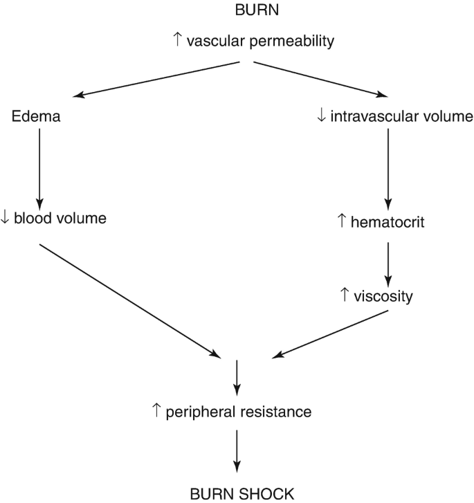 Nurse's Study Guide To Burns, PDF, Burn