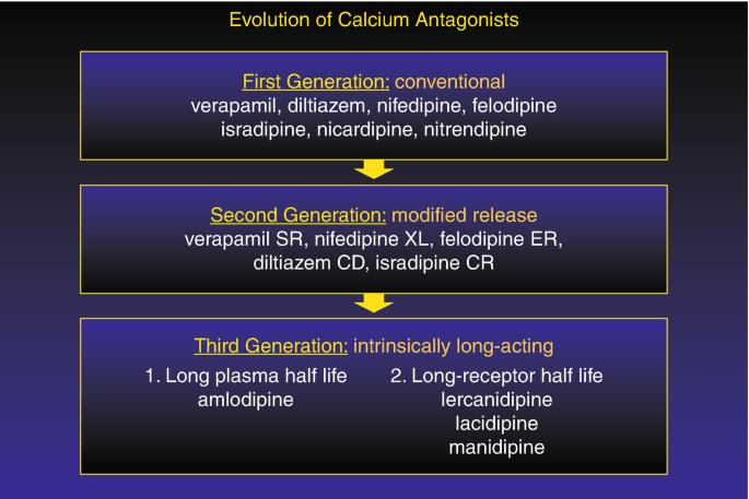 Beta Blockers and Calcium Channel Blockers | SpringerLink